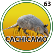 Cachicamo