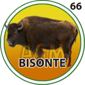 Bisonte