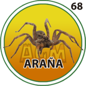 Araña