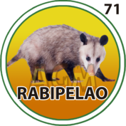 Rabipelao