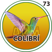 Colibrí