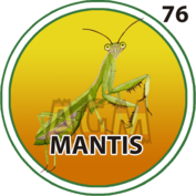 Mantis