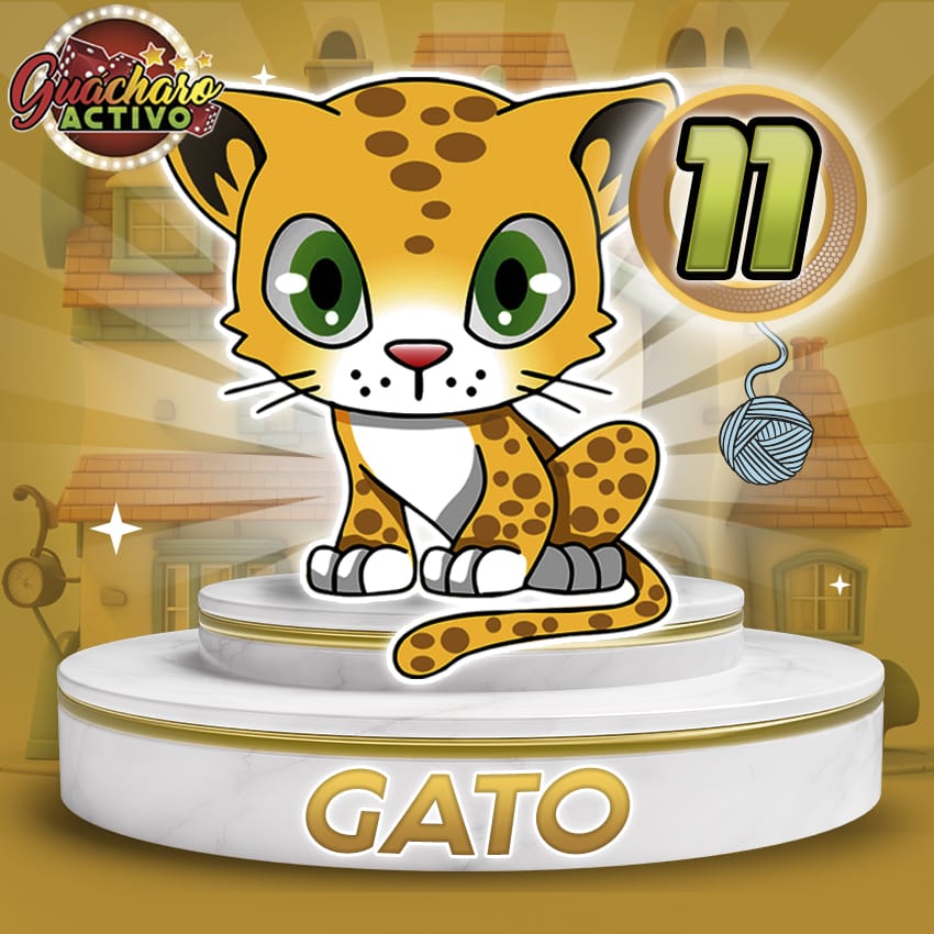 Gato