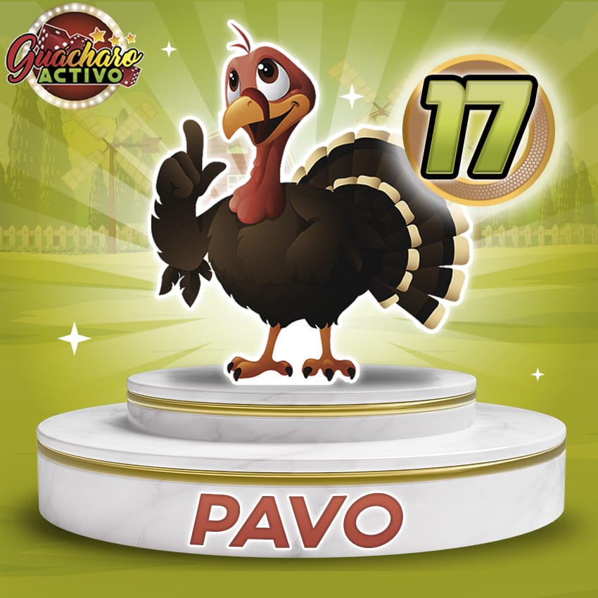 Pavo