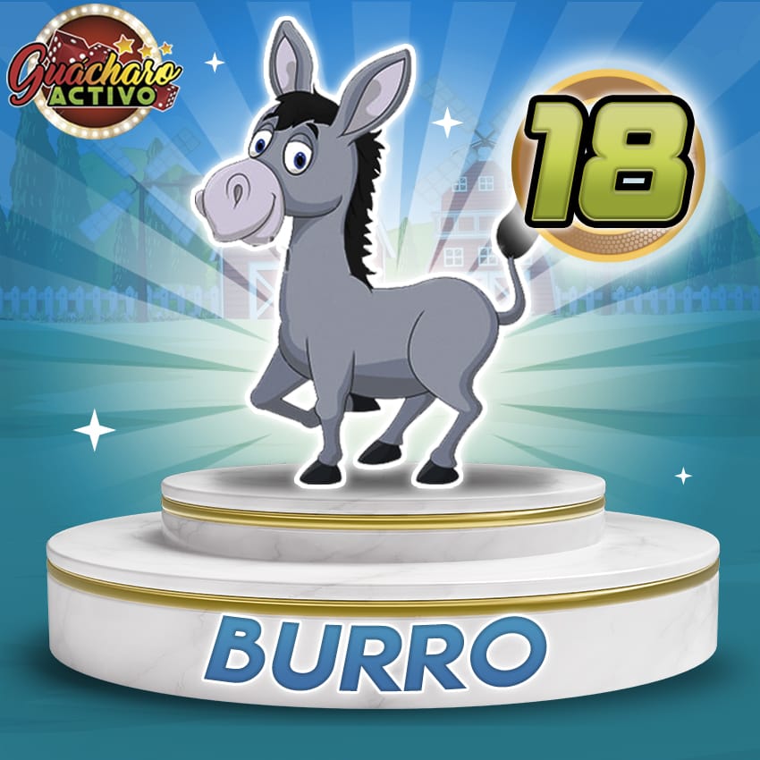 Burro