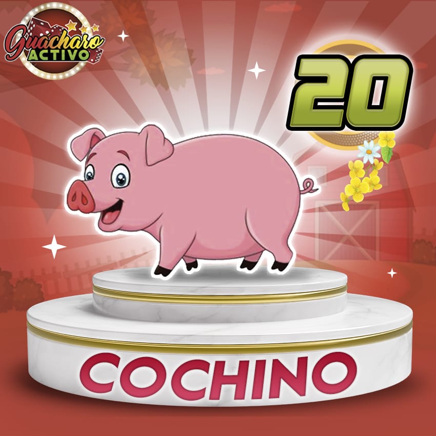 Cochino