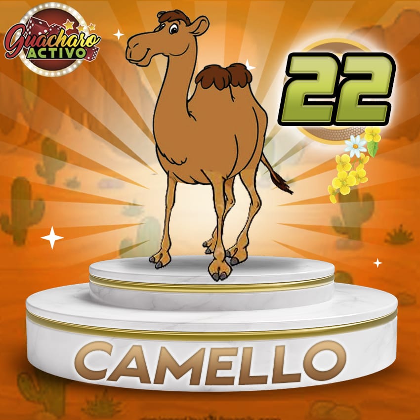 Camello