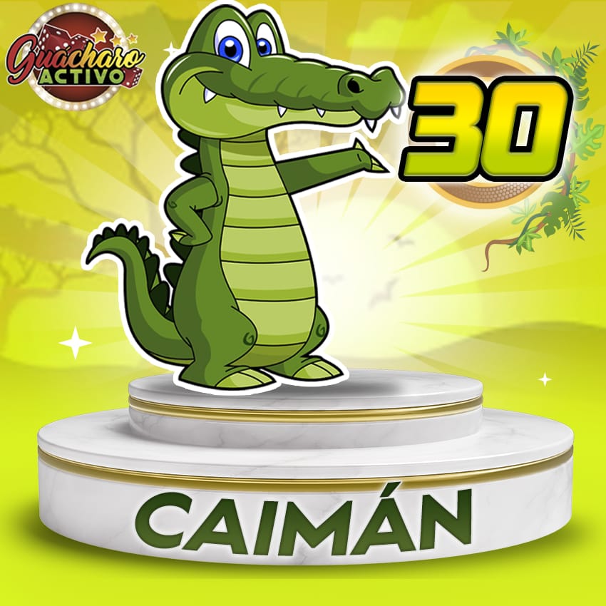 Caimán