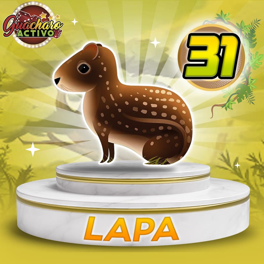 Lapa