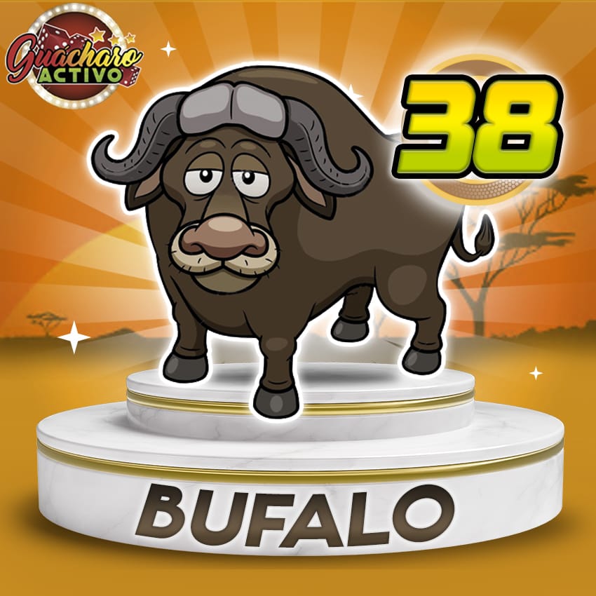 Búfalo