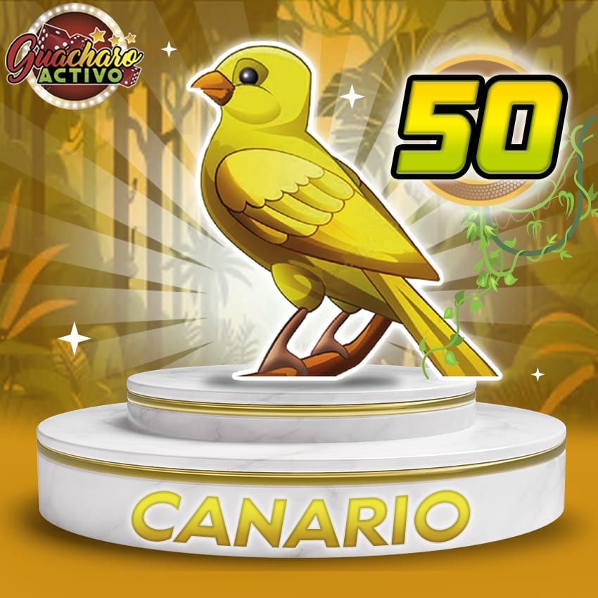 Canario