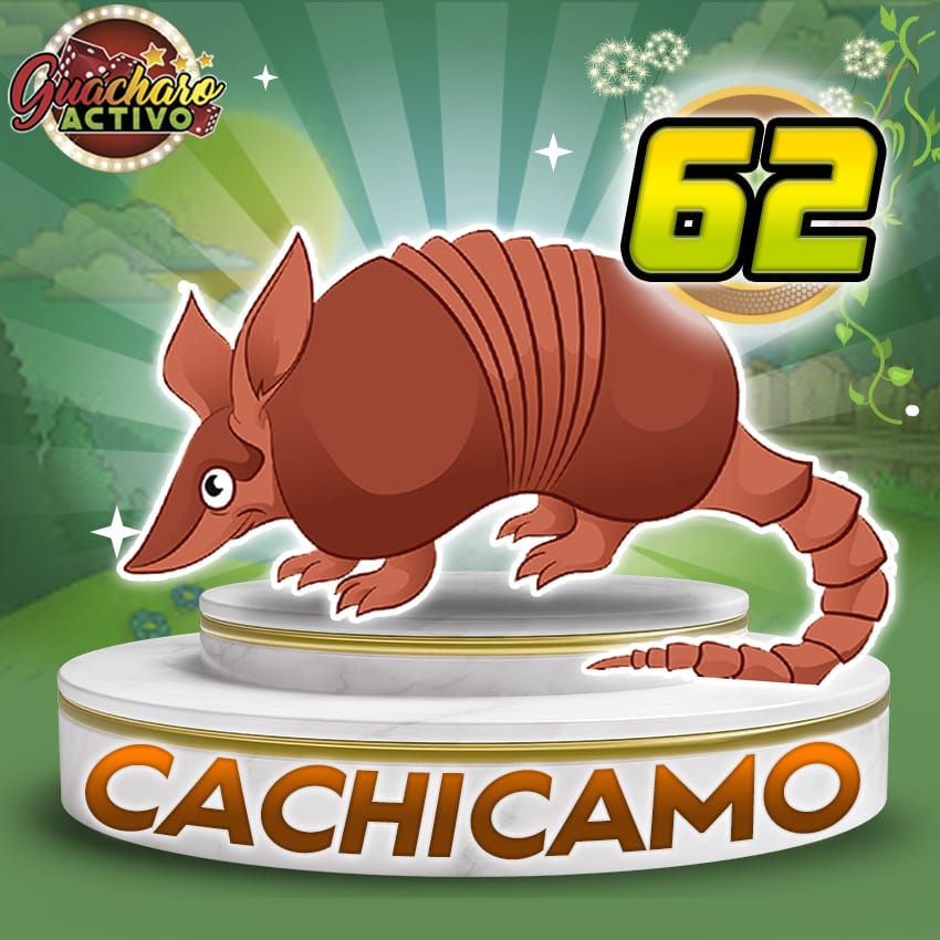 Cachicamo