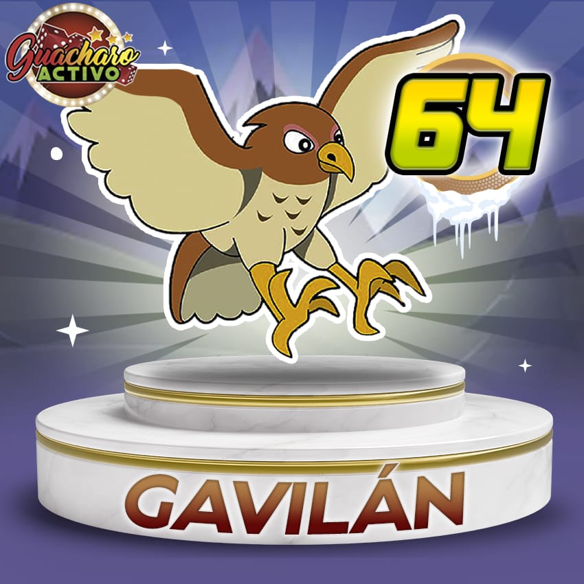 Gavilán