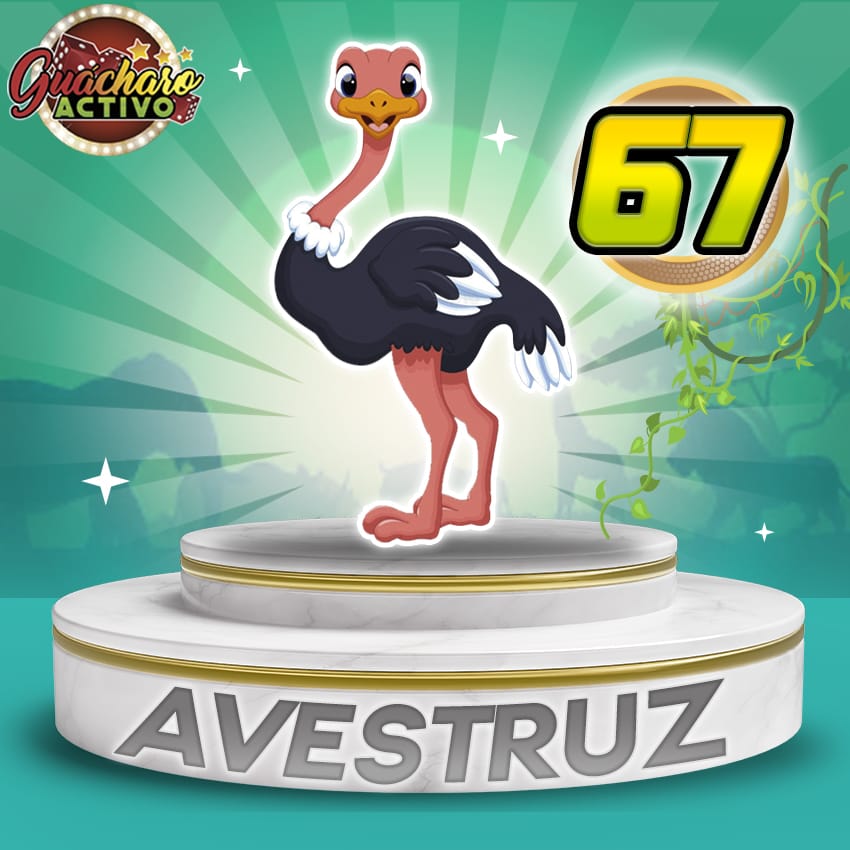 Avestruz