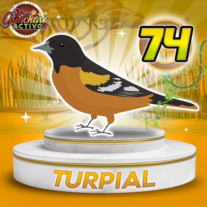 Turpial