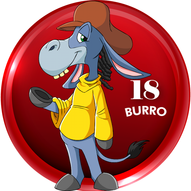 Burro