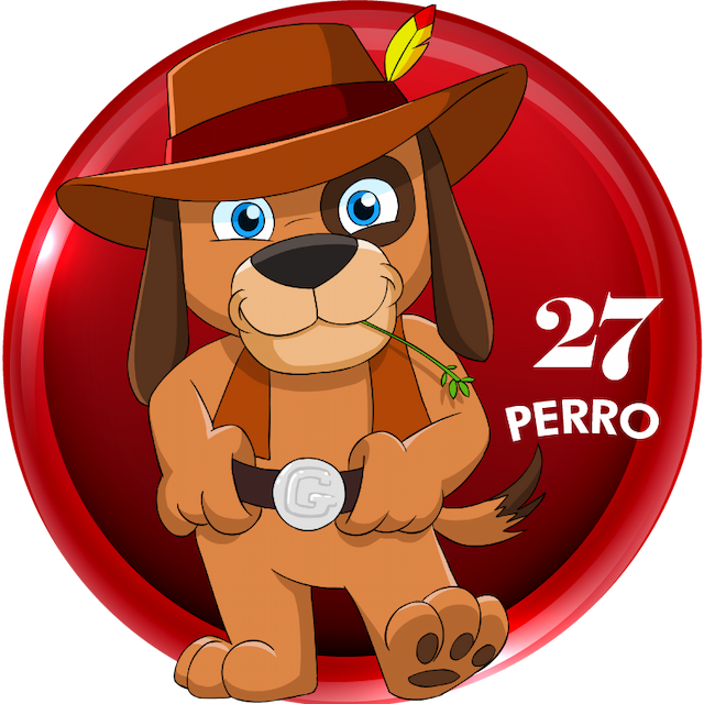 Perro