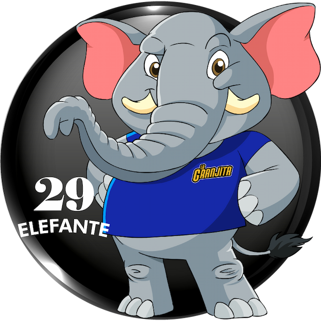 Elefante