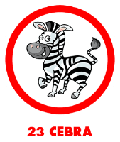 Cebra