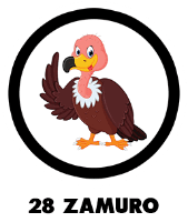 Zamuro