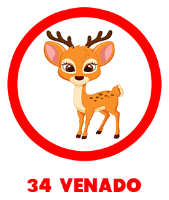 Venado