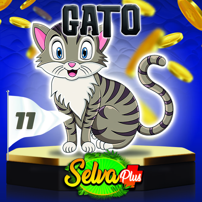 Gato