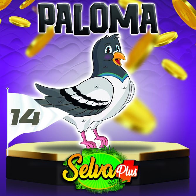 Paloma