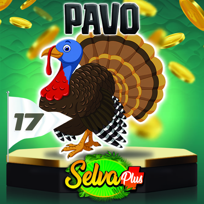 Pavo