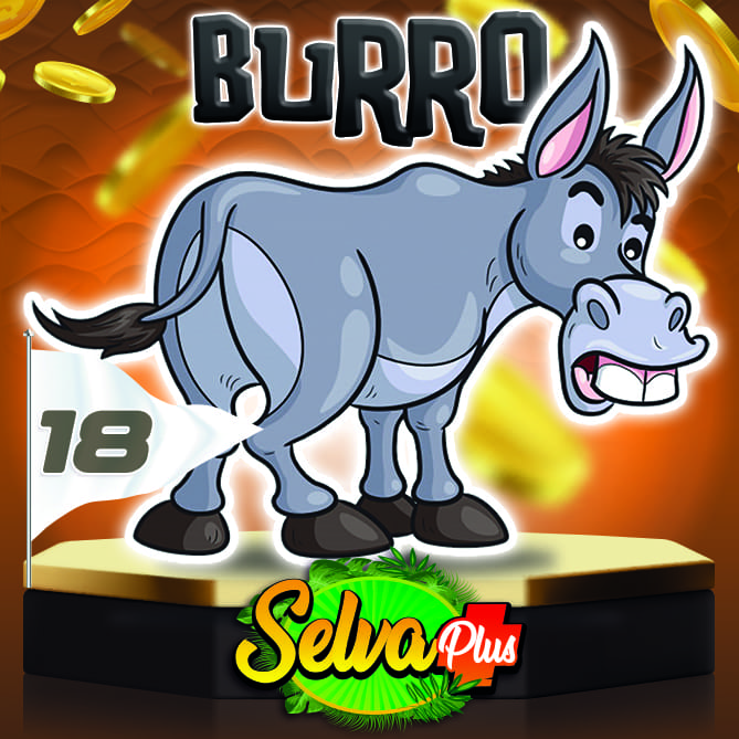Burro