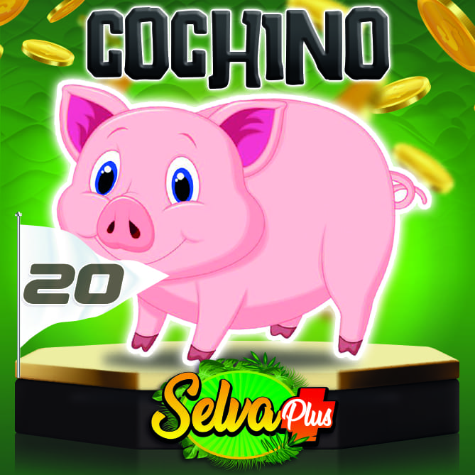 Cochino