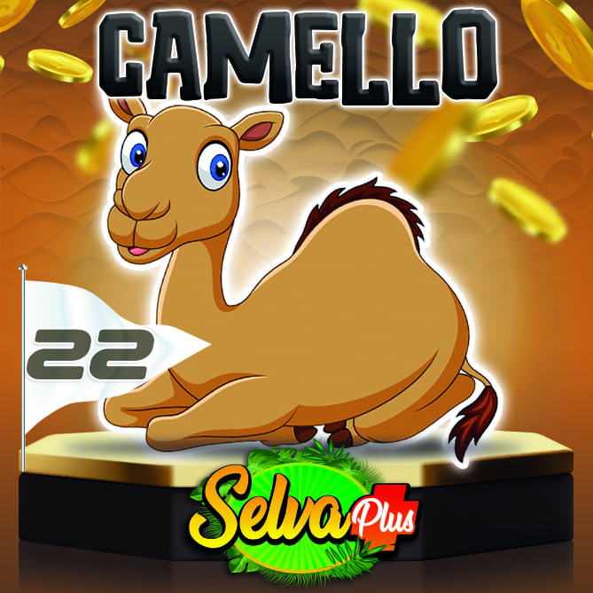 Camello