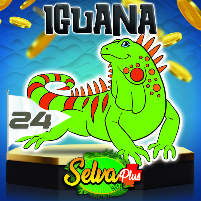 Iguana