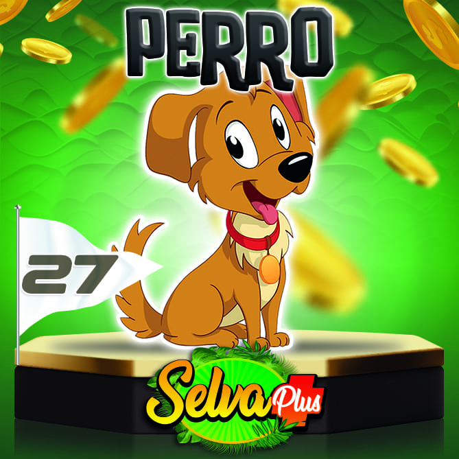 Perro