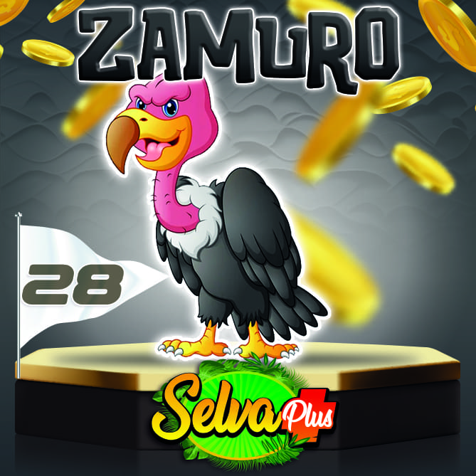 Zamuro