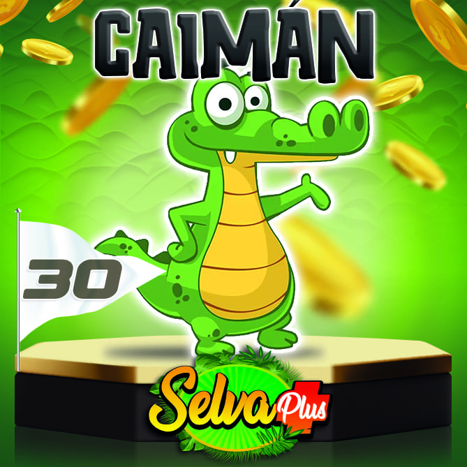 Caimán