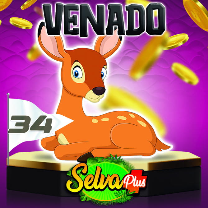 Venado
